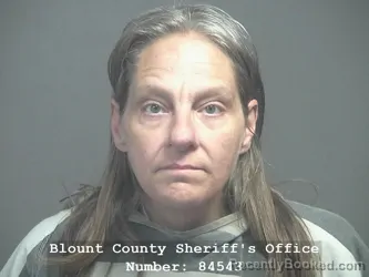 Mugshot of RACHEL MARIE CALDWELL booked in Blount County, Tennessee on March 17, 2026