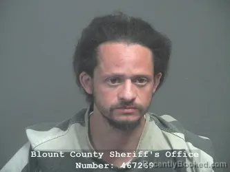 Mugshot of Salvador Torres Contreras booked in Blount County, Tennessee on July 30, 2026