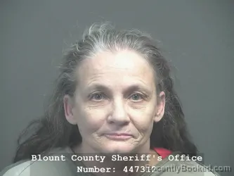 Mugshot of TERRY LYNN CHAMBERS booked in Blount County, Tennessee on April 24, 2026