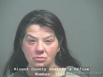 Mugshot of AMANDA NICOLE DEVINE booked in Blount County, Tennessee on June 3, 2026