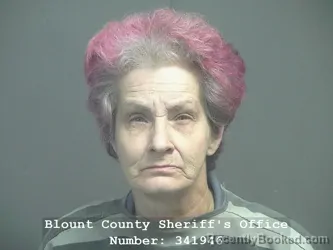 Mugshot of DAPHNE ANNE ANNE DUNHAM booked in Blount County, Tennessee on April 10, 2026