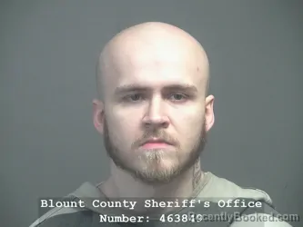 Mugshot of DILLON MICHAEL DAUGHERTY booked in Blount County, Tennessee on March 12, 2026