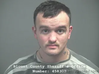 Mugshot of JUSTICE CAMRAY DEERINGER booked in Blount County, Tennessee on April 9, 2026