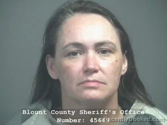 Mugshot of LILLIAN ELIZABETH DURMER booked in Blount County, Tennessee on April 1, 2026