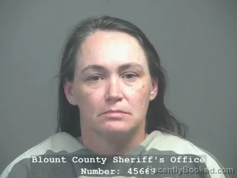 Mugshot of LILLIAN ELIZABETH DURMER booked in Blount County, Tennessee on April 9, 2026