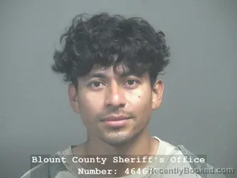 Mugshot of OSBERTH ZAHID DIAZ-PARRA booked in Blount County, Tennessee on April 4, 2026