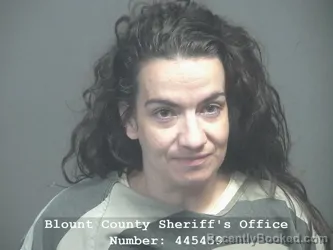 Mugshot of STACIE ANN DYKE booked in Blount County, Tennessee on June 27, 2026