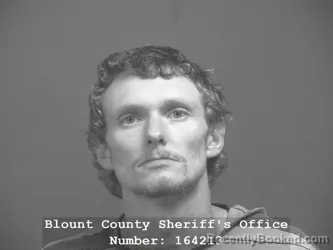 Mugshot of Tyler Zane Denton booked in Blount County, Tennessee on July 14, 2026