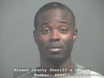 Mugshot of BERTWANE LEVERT ELLISON booked in Blount County, Tennessee on June 3, 2026