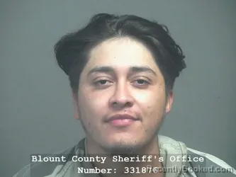 Mugshot of Edgar Ivan Escamilla Gonzalez booked in Blount County, Tennessee on July 10, 2026
