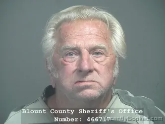 Mugshot of HOWARD JAMES EWING booked in Blount County, Tennessee on May 29, 2026