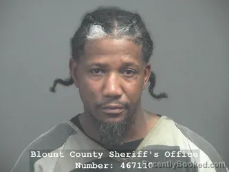 Mugshot of Jarvis Fitzgerald Ellis booked in Blount County, Tennessee on July 11, 2026