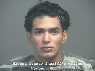 Mugshot of Jonathan Joel Echeverria Zelaya booked in Blount County, Tennessee on July 18, 2026