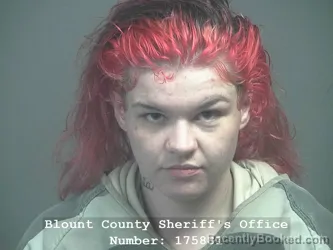 Mugshot of CASEY REBECCA FLYNN booked in Blount County, Tennessee on April 5, 2026