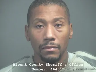 Mugshot of MICHAEL CORNILEUS FREEMAN booked in Blount County, Tennessee on March 31, 2026