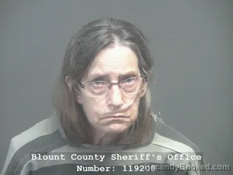 Mugshot of ROBIN LEE FRADY booked in Blount County, Tennessee on June 10, 2026