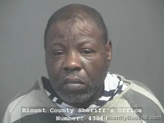 Mugshot of TREMAYNE FRANCIS booked in Blount County, Tennessee on March 31, 2026