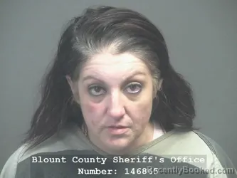 Booking photo from Blount County, Tennessee