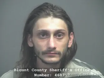 Mugshot of Alexander Craig Grissinger booked in Blount County, Tennessee on July 18, 2026