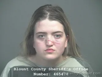 Mugshot of CYDNEE AVON KAYLEE GOSS booked in Blount County, Tennessee on April 25, 2026