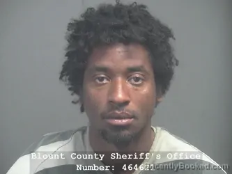 Mugshot of DELARRY CORNELIOUS GODBOTT booked in Blount County, Tennessee on April 2, 2026