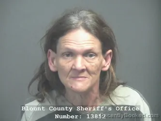 Mugshot of KELLY SUSANNE GOURLEY booked in Blount County, Tennessee on April 9, 2026