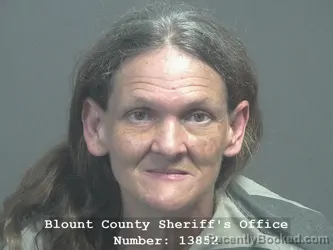 Mugshot of Kelly Susanne Gourley booked in Blount County, Tennessee on August 2, 2026