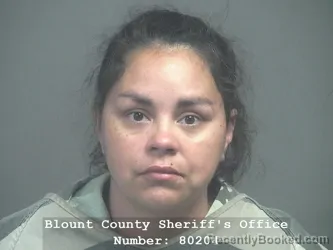 Mugshot of RACHEL MARIE GALYON booked in Blount County, Tennessee on June 3, 2026