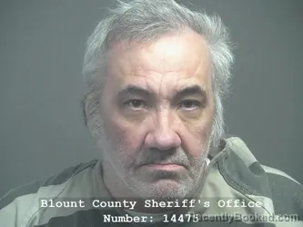 Mugshot of ROBERT SHANNON GREGORY booked in Blount County, Tennessee on June 3, 2026