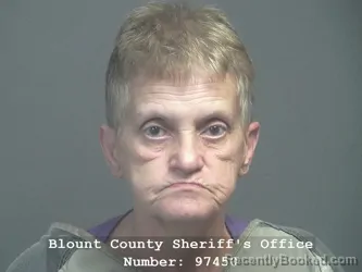 Mugshot of Sherry Renee Godsey booked in Blount County, Tennessee on July 26, 2026