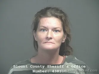 Mugshot of Tiffany Elise Gibson booked in Blount County, Tennessee on July 15, 2026