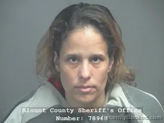 Mugshot of TRISHA RAYE GRESHAM booked in Blount County, Tennessee on April 9, 2026