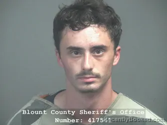 Mugshot of Alexander Mason Hiemstra booked in Blount County, Tennessee on July 9, 2026