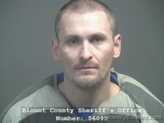 Mugshot of CHRISTOPHER ROBIN HANSFORD booked in Blount County, Tennessee on April 1, 2026