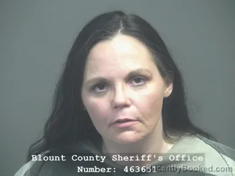 Mugshot of FELICIA SHANTA MONIQUE HURT booked in Blount County, Tennessee on June 2, 2026