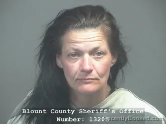 Mugshot of HEATHER OLIVIA HEMBREE booked in Blount County, Tennessee on April 9, 2026