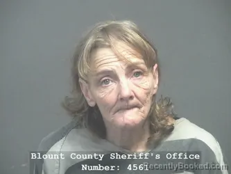 Mugshot of JACKIE MALINDA HACKNEY booked in Blount County, Tennessee on March 16, 2026