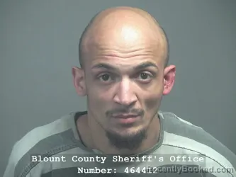 Mugshot of JORDAN MICHAELLOUIS HARDIN booked in Blount County, Tennessee on March 29, 2026