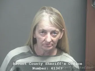 Mugshot of JENNIFER MICHELLE HENSLEY booked in Blount County, Tennessee on April 6, 2026