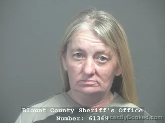 Mugshot of JENNIFER MICHELLE HENSLEY booked in Blount County, Tennessee on June 4, 2026