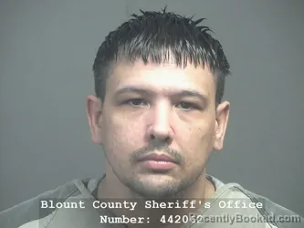 Mugshot of JOSEPH SCOTT HUDSON booked in Blount County, Tennessee on April 24, 2026