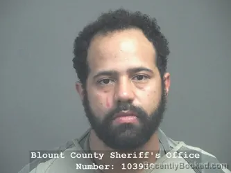 Mugshot of JESSE TAYLOR HODGE booked in Blount County, Tennessee on April 4, 2026