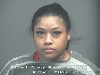Mugshot of KIDADA NICOLE HEARD booked in Blount County, Tennessee on April 20, 2026