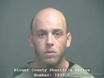 Booking photo from Blount County, Tennessee
