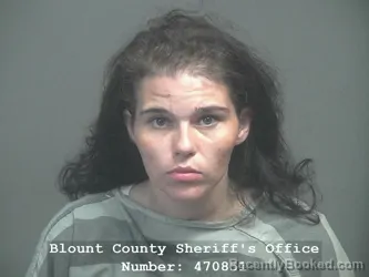 Mugshot of Patricia Anne Hefflin booked in Blount County, Tennessee on September 8, 2026