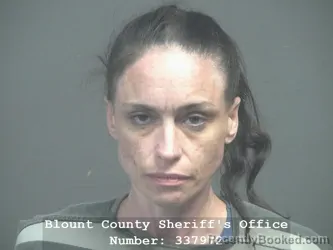 Mugshot of Sierra Brittaney Hager booked in Blount County, Tennessee on July 9, 2026