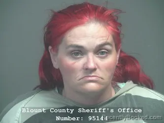 Mugshot of VICKI MAE HILL booked in Blount County, Tennessee on March 11, 2026