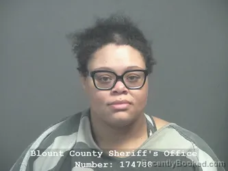 Mugshot of BLAKE MCKENZIE JOHNSON booked in Blount County, Tennessee on April 6, 2026