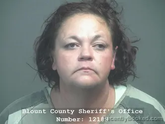 Mugshot of CRYSTAL MICHELLE JONES booked in Blount County, Tennessee on June 15, 2026