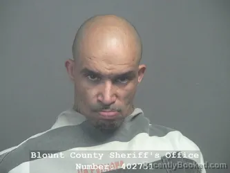 Mugshot of FRANKLIN LAMAR JONES booked in Blount County, Tennessee on April 7, 2026